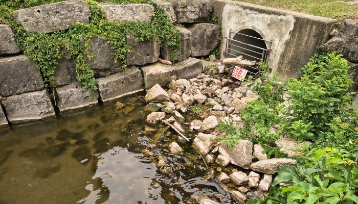 body found Stoney Creek
