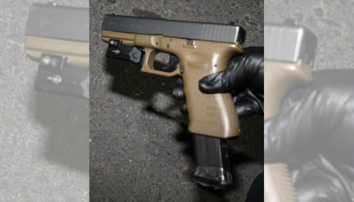 gun Hamilton Mountain shooting