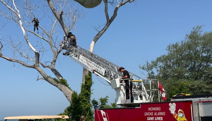 parachute tree crash