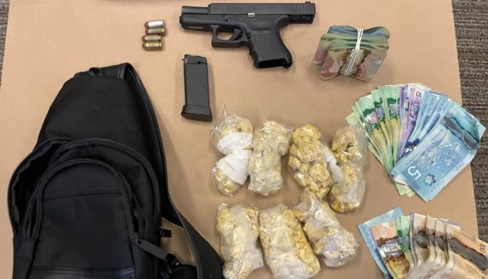 Niagara Falls Drug Bust