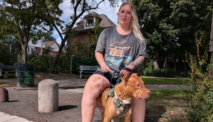 pet owner attack rules