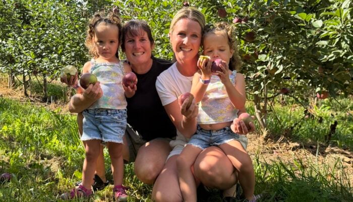 Apple thefts Niagara sep 6 2026