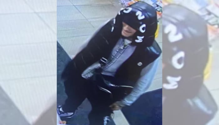 Brant County theft suspect
