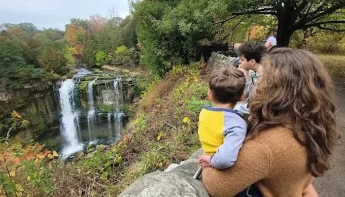 Webster's Falls reservations