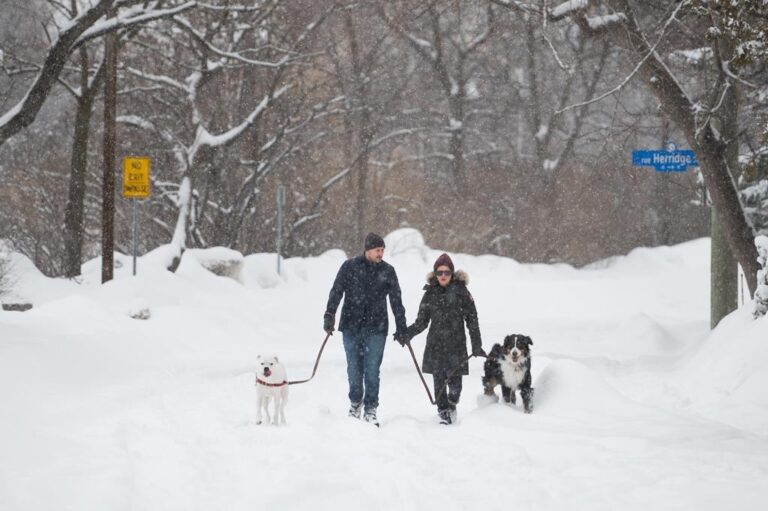 People and their dogs make their way through the Old Ottawa East neighbourhood of Ottawa, Saturday, March 4, 2023.