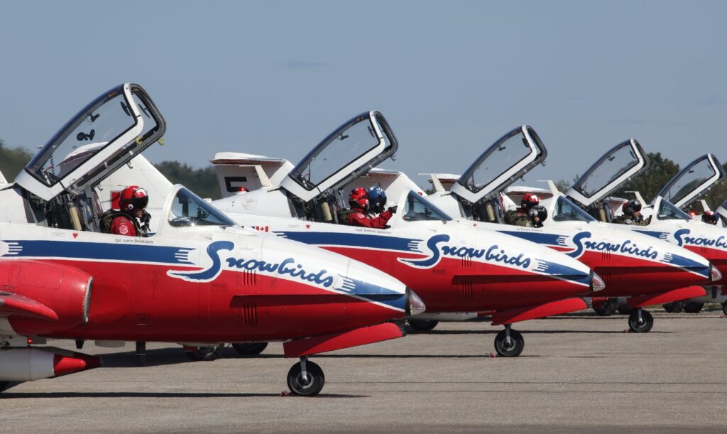 SNOWBIRDS IN CALIFORNIA